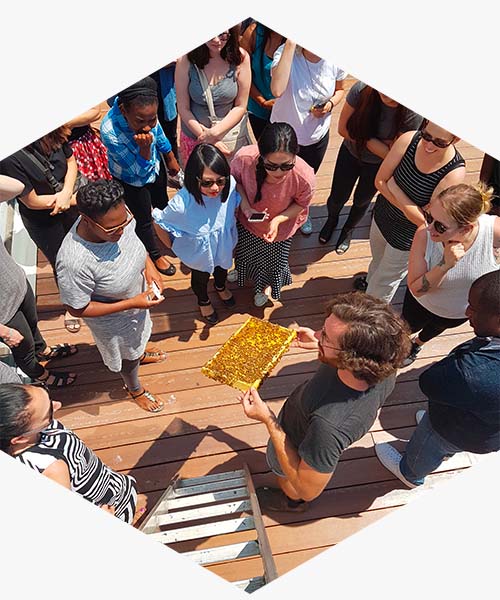 Alvéole beekeeper shows a frame of honey bees to a group of people during a workshop. urban beekeeping company