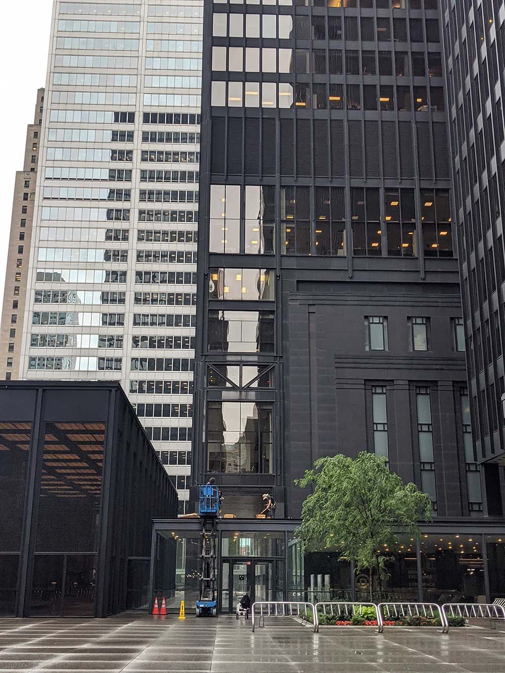 Installation d'une ruche urbaine. entreprise d'apiculture urbaine