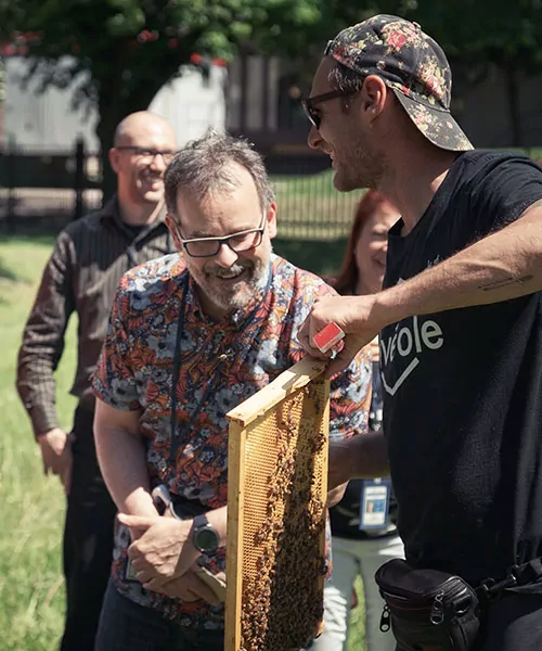 Alvéole beekeeper shows a frame of honey bees to a group of people during a workshop. are beehives on buildings dangerous