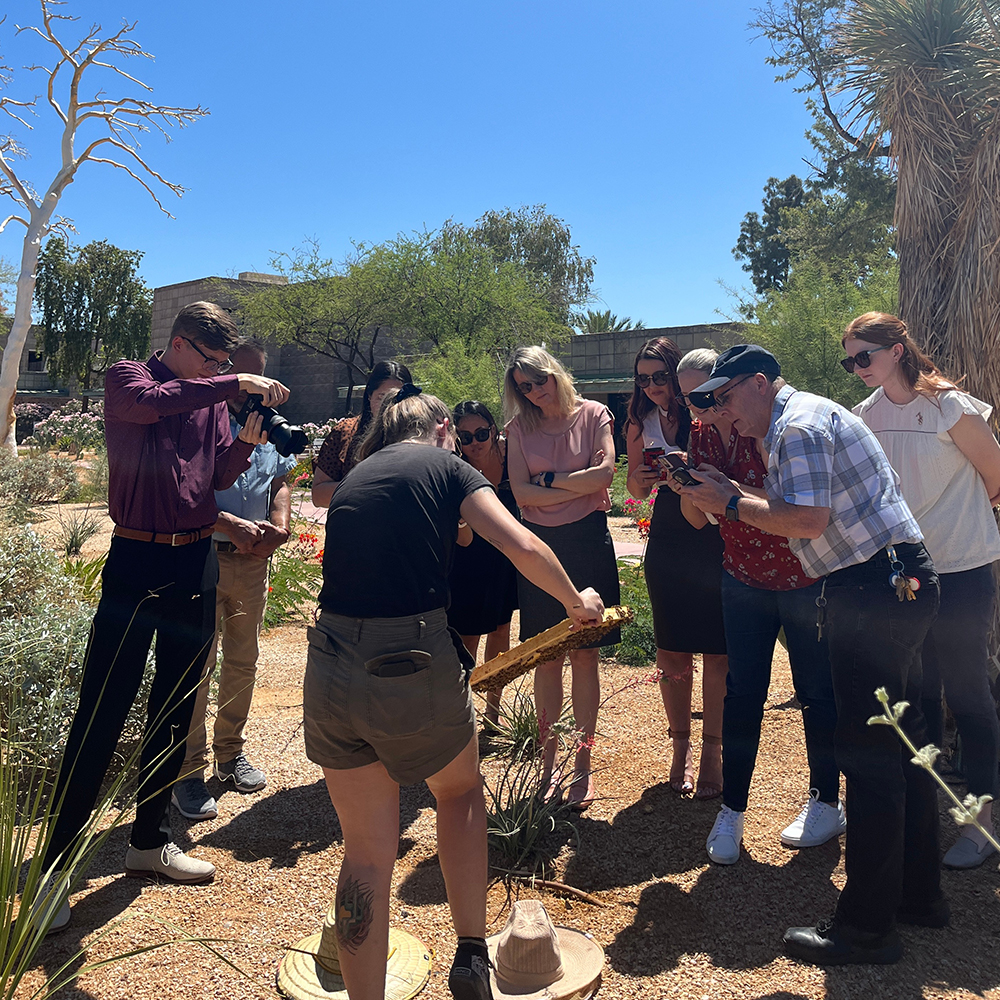 lutte antiparasitaire