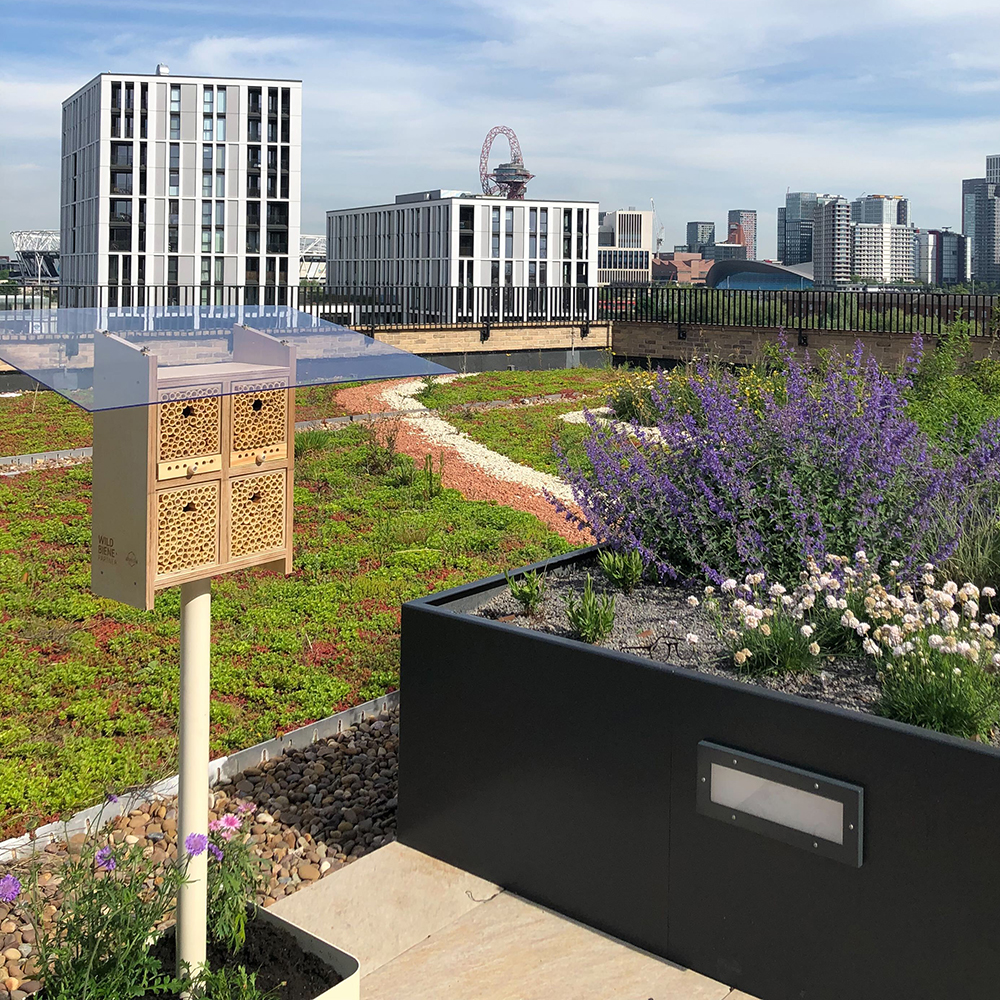 ruche près du jardin. lutte antiparasitaire 