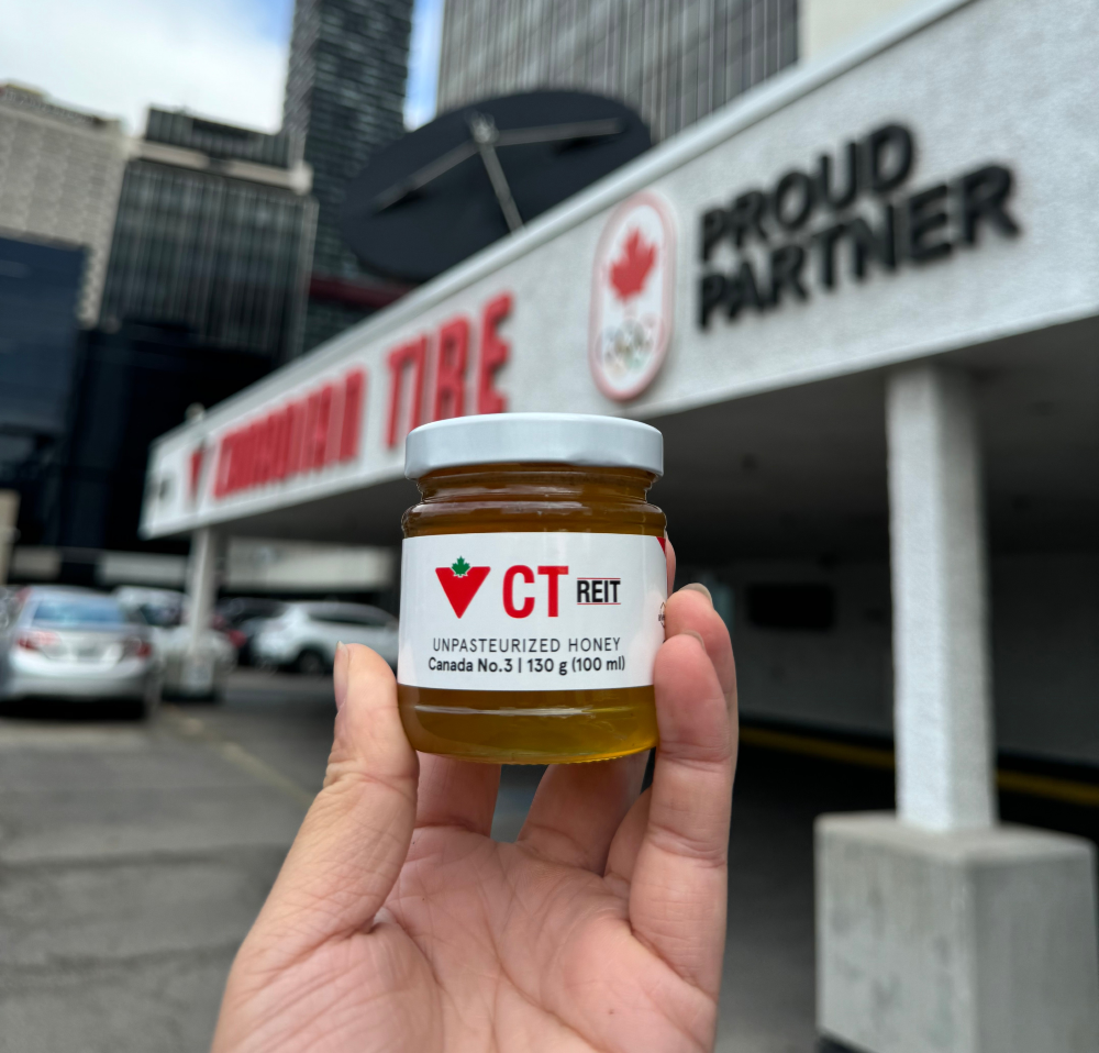 1015 Lake Shore Boulevard E, Toronto