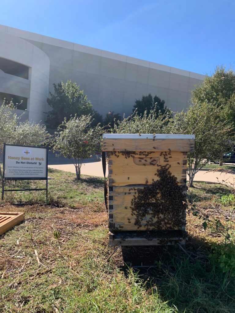 Capital One Building - Plano, TX