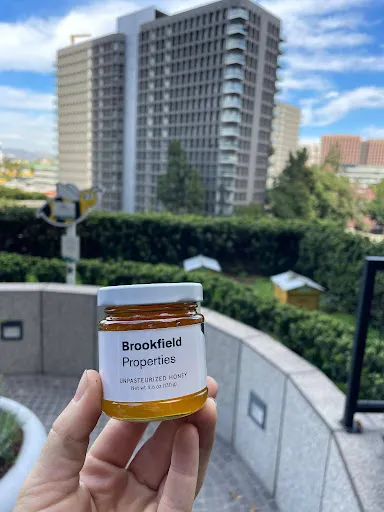 Pots de miel de marque