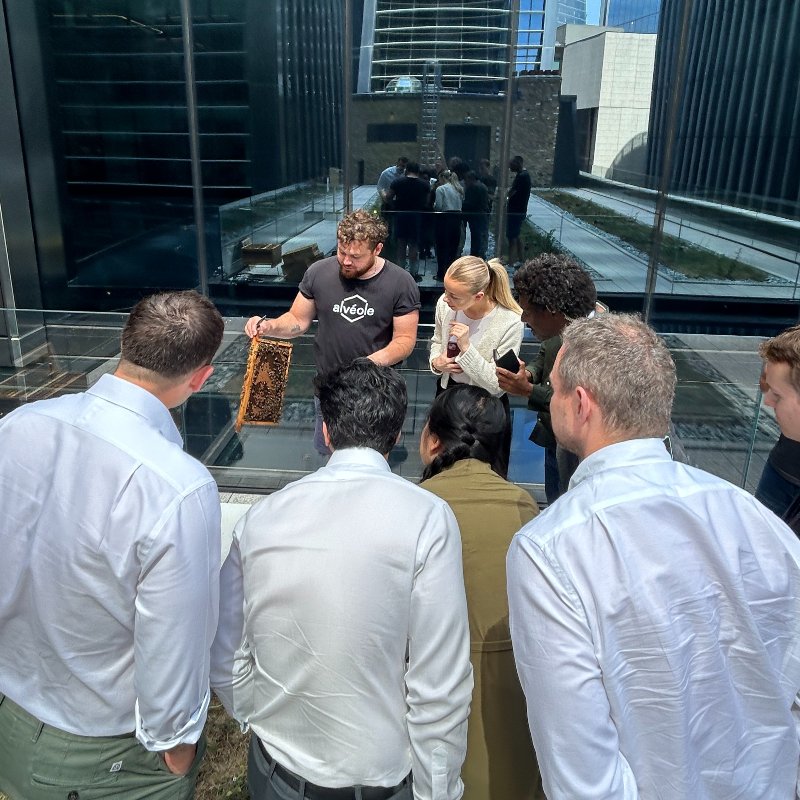 Alvéole urban beekeeping installations across diverse commercial real estate portfolio.