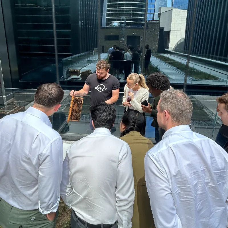 Alvéole urban beekeeping installations across diverse commercial real estate portfolio.