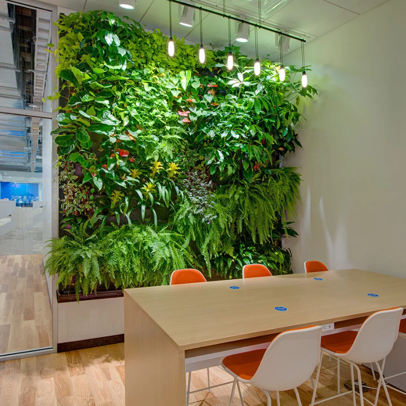 Modern biophilic commercial office with living walls and natural lighting design.