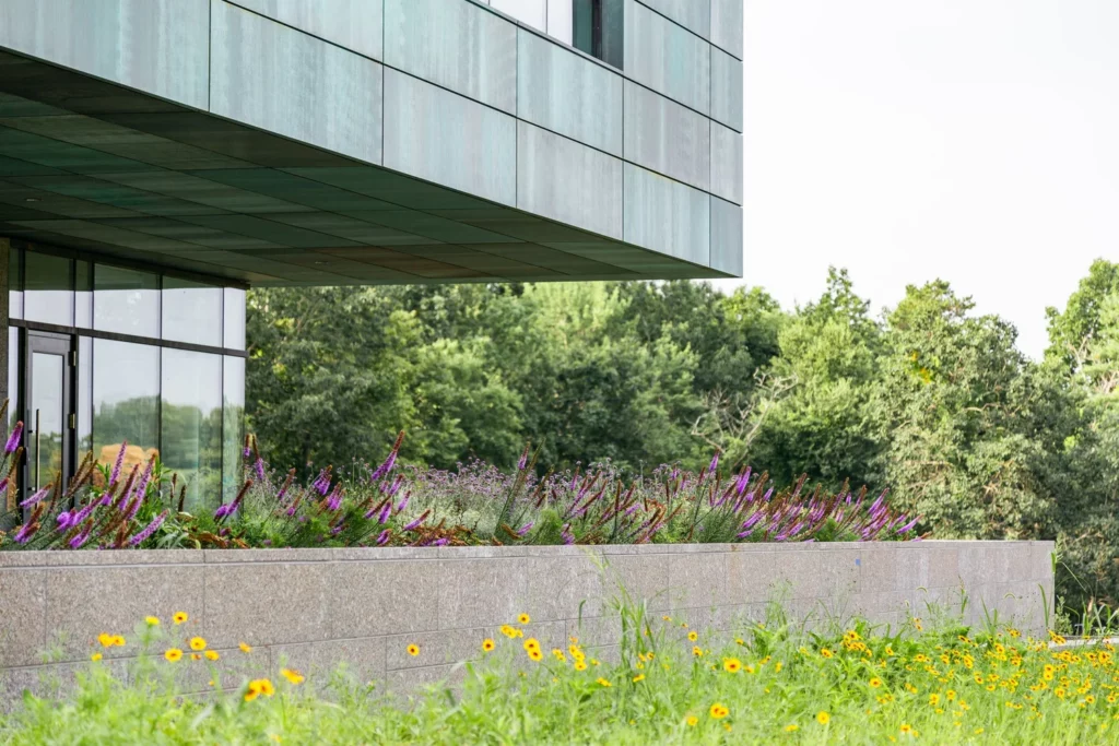 Green roofs designed for watershed protection and energy conservation.