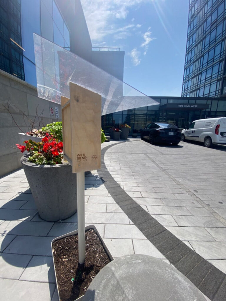 Trilogy on King excels in multi-residential innovation