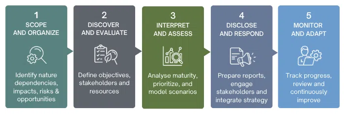 The five steps show how to put TNFD-aligned biodiversity monitoring into action, ensuring consistent data, regulatory compliance, and measurable impact across properties.