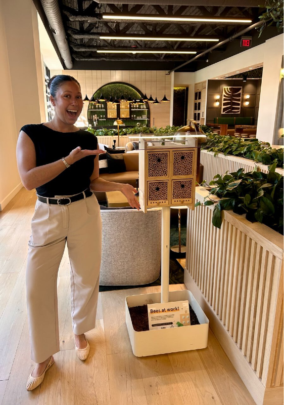 Bees at home installation inside of Armbor Tempe in Phoenix