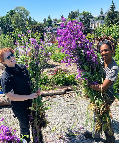 objectifs de développement durable
