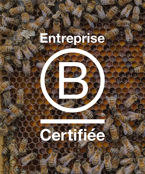 faire affaire avec une B Corp