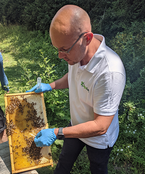 objectifs de développement durable