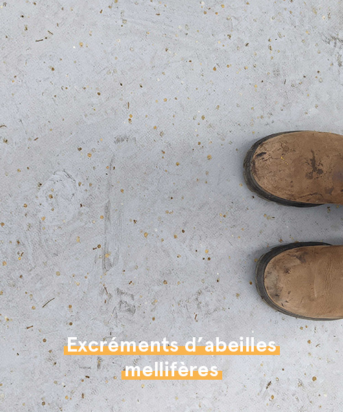 faits sur les abeilles