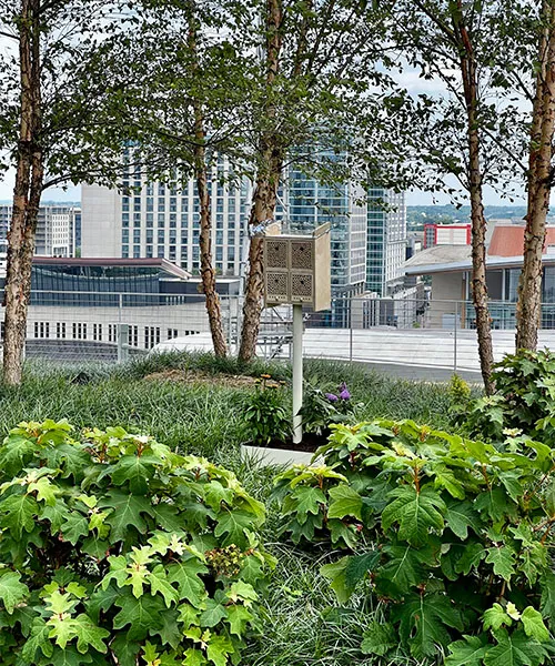 Un hôtel à insectes sur un toit au milieu de la ville. augmenter la valeur de votre propriété