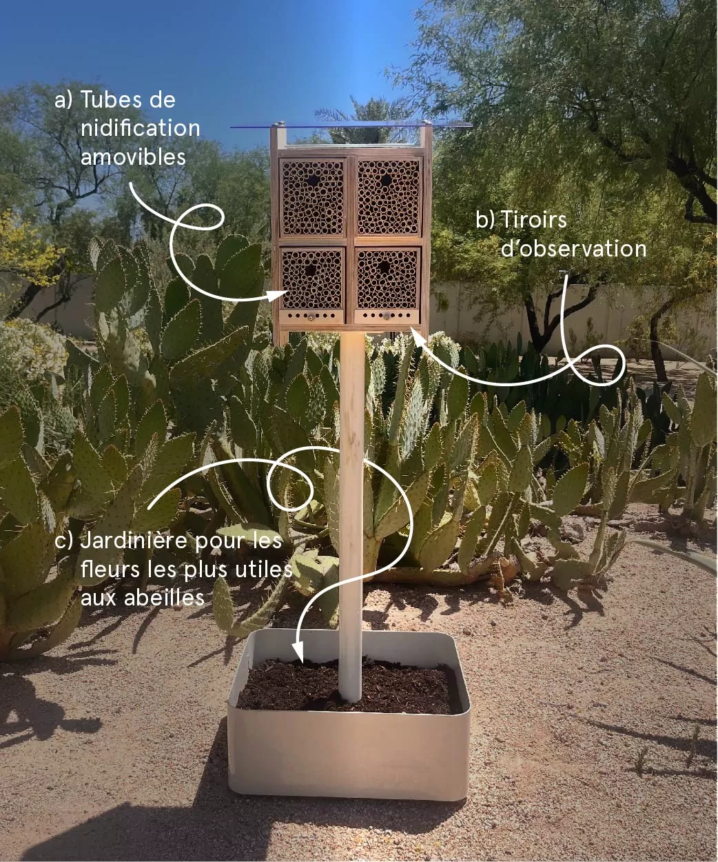 Une BeeHome Alvéole avec des flèches indiquant les différents éléments, notamment les tubes de nidification amovibles, les tiroirs d'observation et la jardinière pour les fleurs.