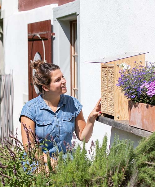 Une BeeHome. aider les abeilles sauvages