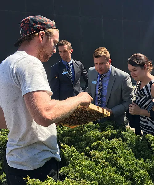 Un groupe de locataires sur un toit se presse autour de leur apiculteur pour voir leurs abeilles. engagement des locataires
