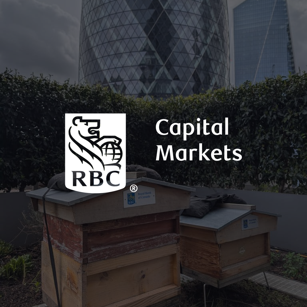 RBC Capital Markets beehives on the terrace of 100 Bishopsgate, London — the RBeesC program by Alvéole