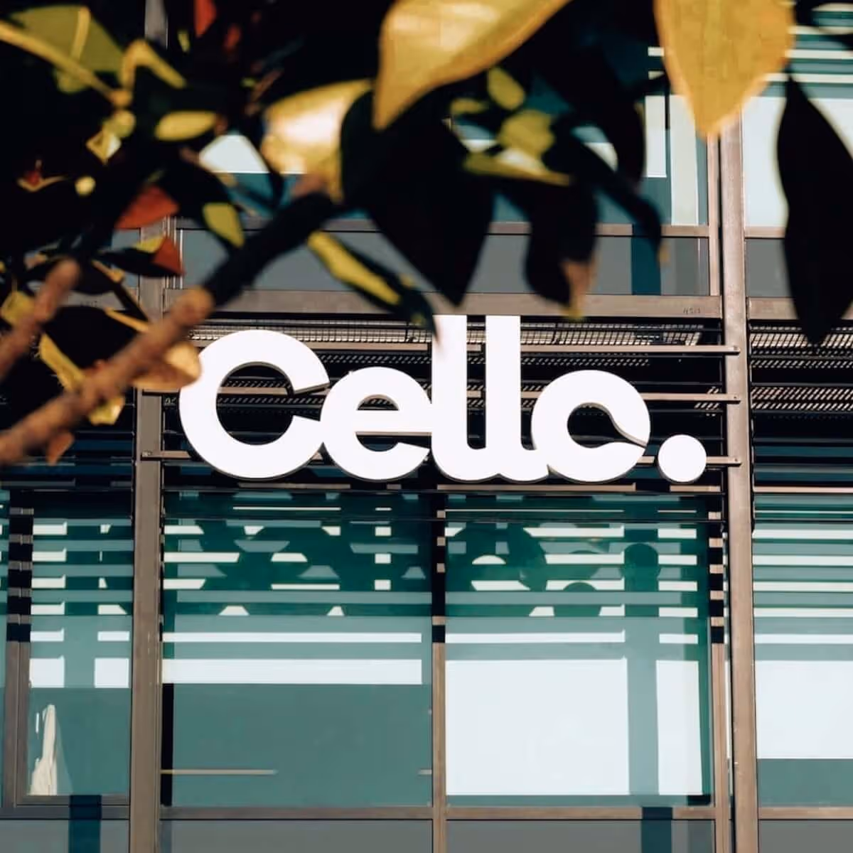 Cello Procurement