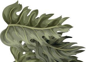 plant