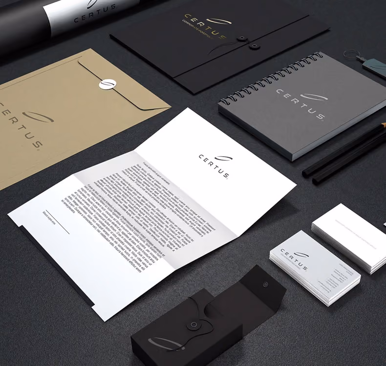 Business essentials and brand collateral thumbnail