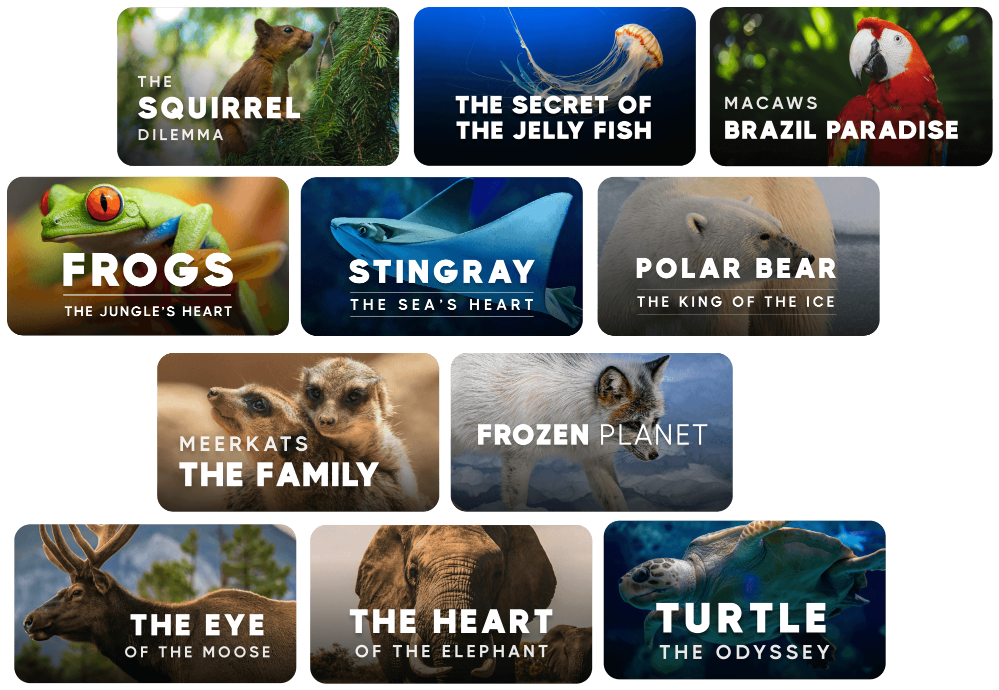 Hero Image - Streaming X - Webflow Template