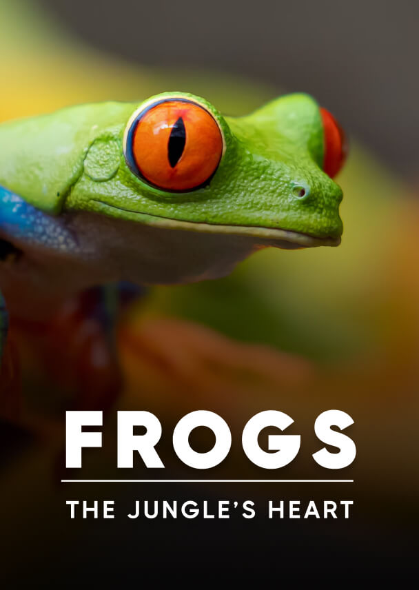 Documentary - Streaming X Webflow Template