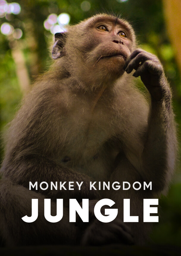 Documentary - Streaming X Webflow Template