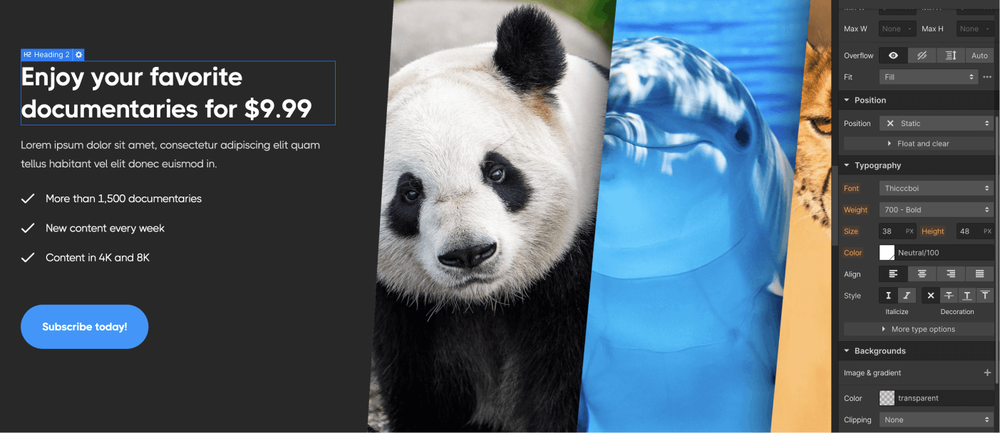 Static Content - Streaming X Webflow Template