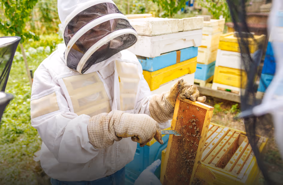 New Bee Homes