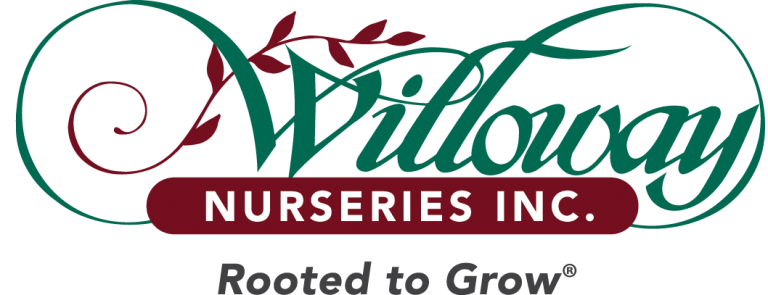 Willoway Nurseries Inc. logo with decorative green and maroon leaves and the tagline Rooted to Grow.
