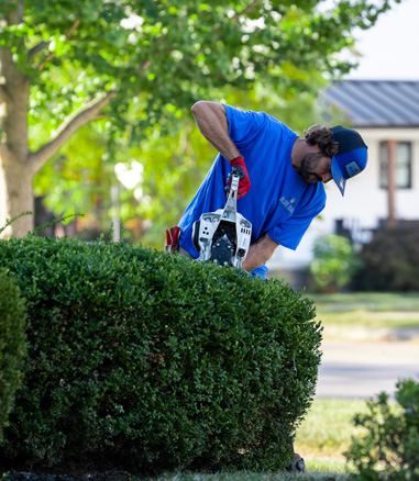 Man in blue shirt and cap trimming a green hedge with electric hedge trimmer in a garden.