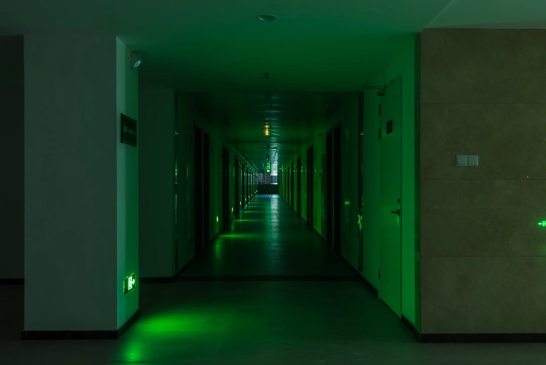 carbon monoxide detector on a hallway wall showing a green safety light carbon monoxide detector on a hallway wall showing a green safety light