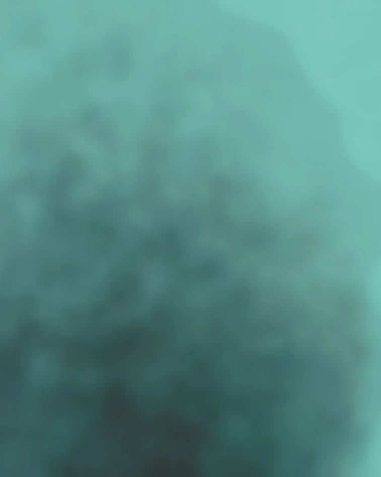 Blurred abstract teal and green background with soft, diffused darker and lighter areas.