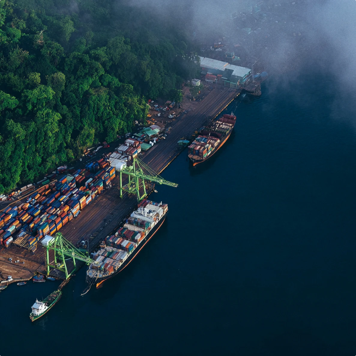 Aerial view of a busy shipping port with container ships docked beside a forested area under mist.
