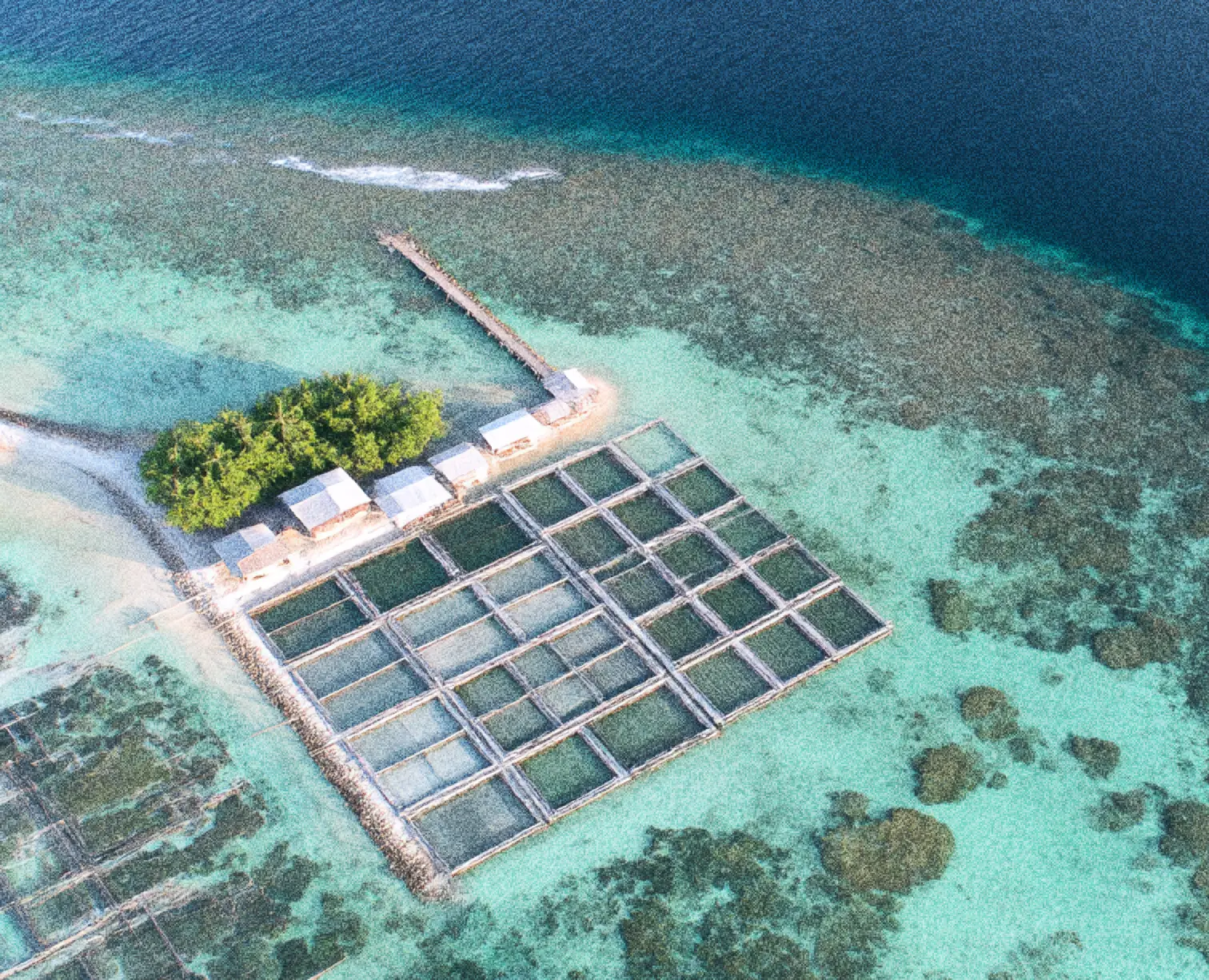 Aerial view of a fish farm with rectangular net enclosures in turquoise shallow water near a small island with several white-roofed buildings and green trees.