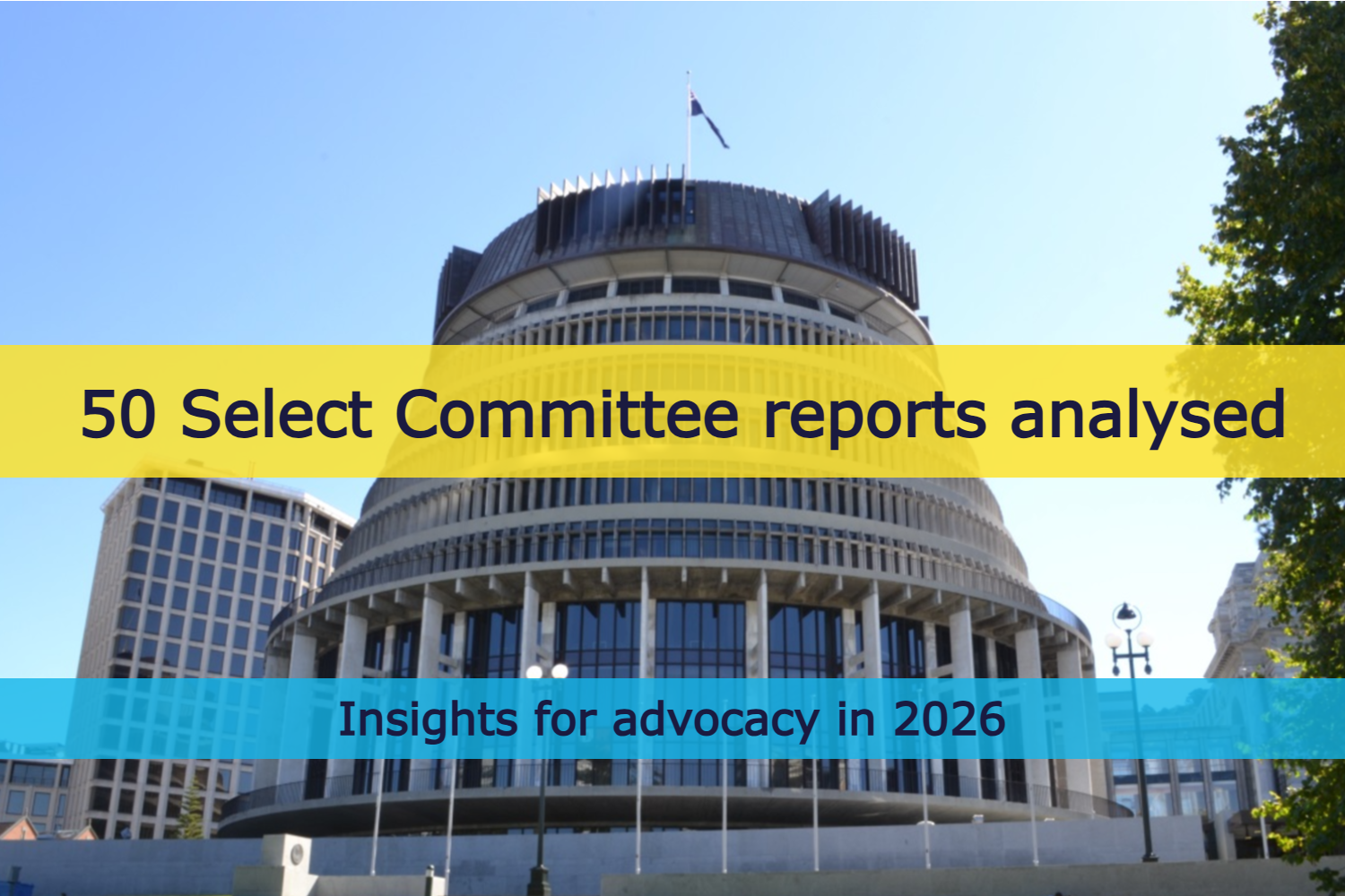 Select Committee Analysis, Insights and Trends
