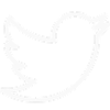 White silhouette of the Twitter bird logo on a black background.