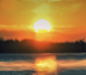 Golden sunset