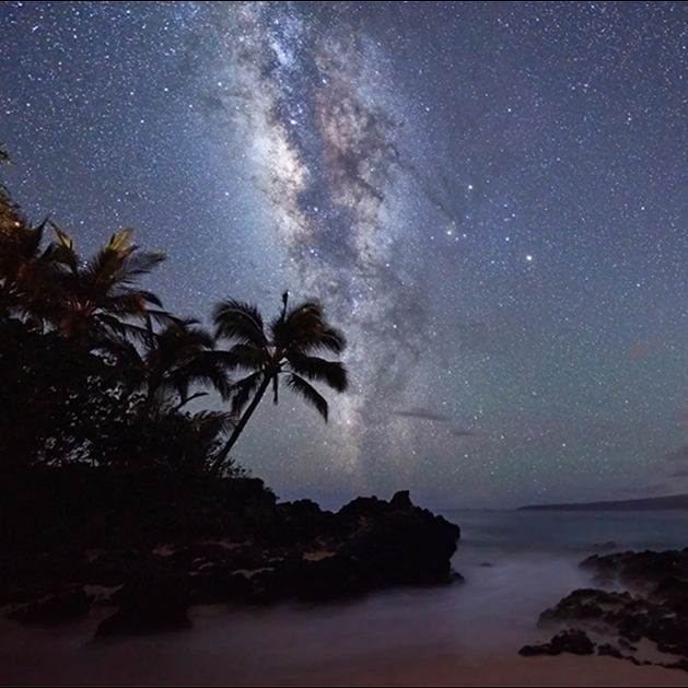 Andrew Shoemaker photograph of the milky way in  Maui with palm trees 