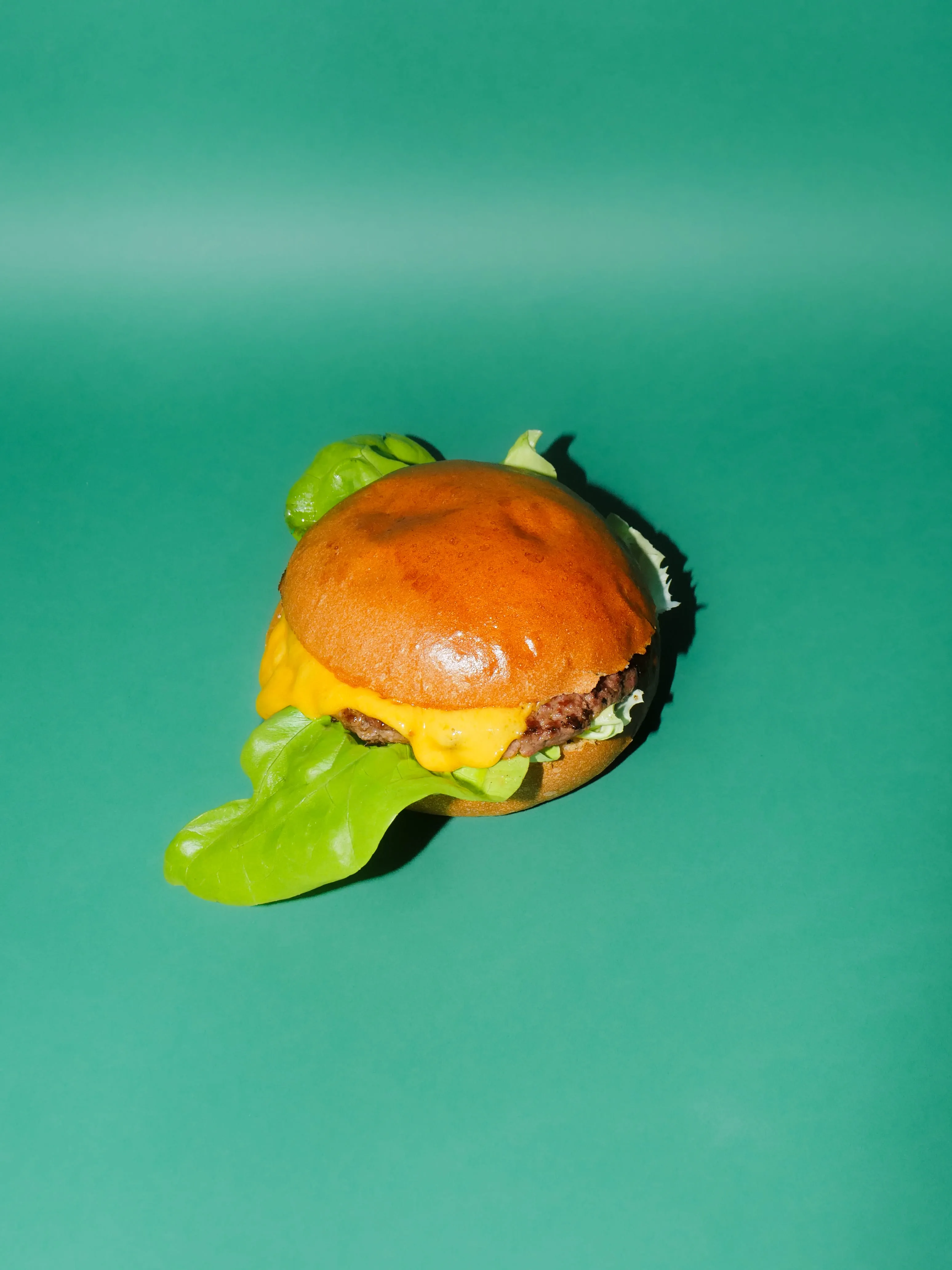 Hero burger image