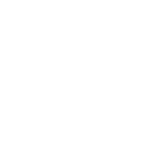 Servicenow Logo