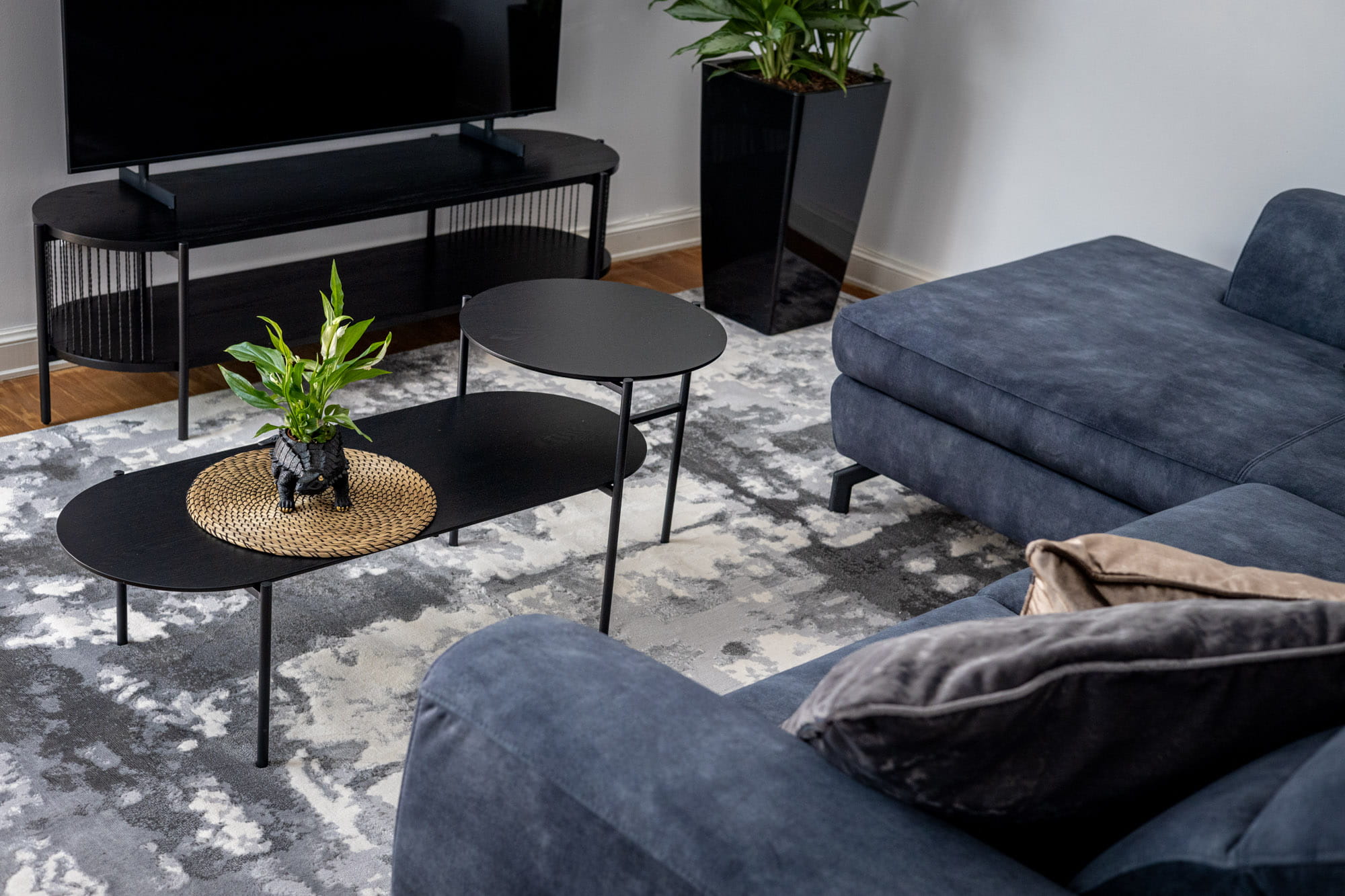 Mūsdienīga dzīvojamā istaba ar tumši zilu dīvānu, melnu kafijas galdiņu un televizoru uz melnas plaukta, uz galdiņa ir zaļš augs.