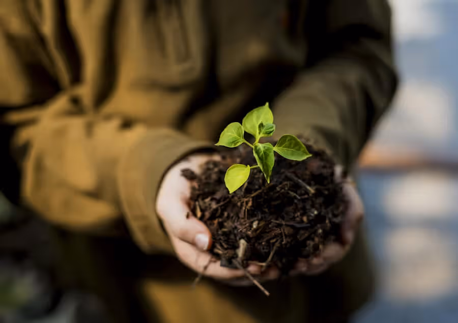 Hands holding a small green plant sprouting from dark soil.