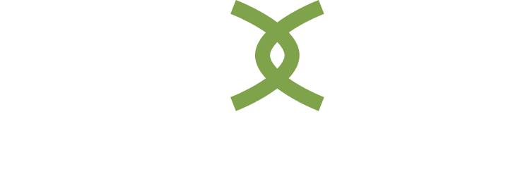 nexus venture partners logo