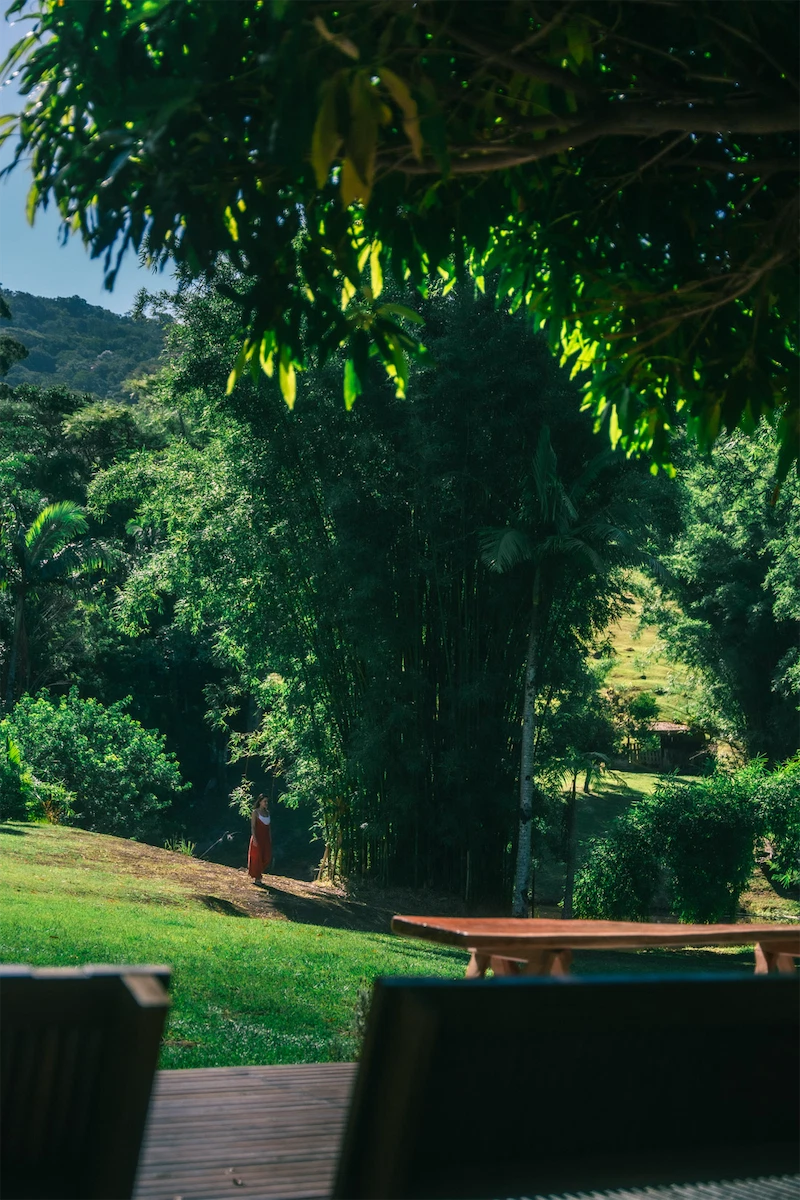 Person in red dress standing on a grassy slope near dense green trees and foliage, viewed from behind a shaded seating area.