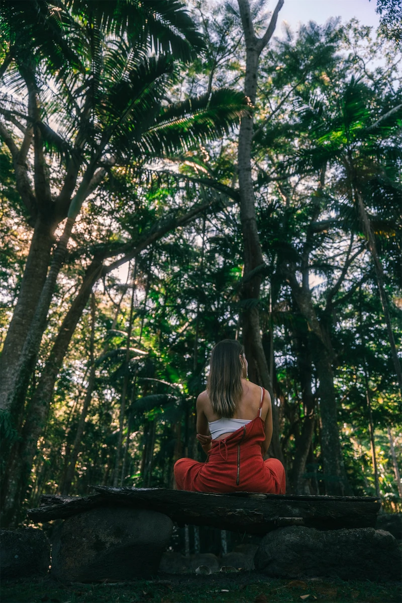Woman in a red dress sitting cross-legged on a wooden bench in a dense forest, facing away.
