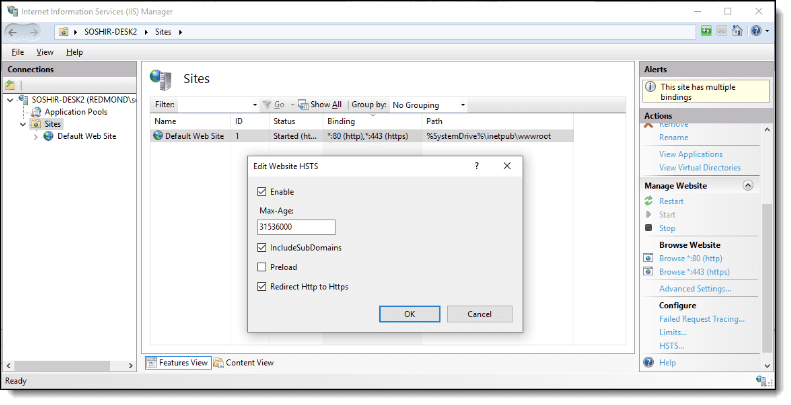 Image - Internet Information Services Manager window
